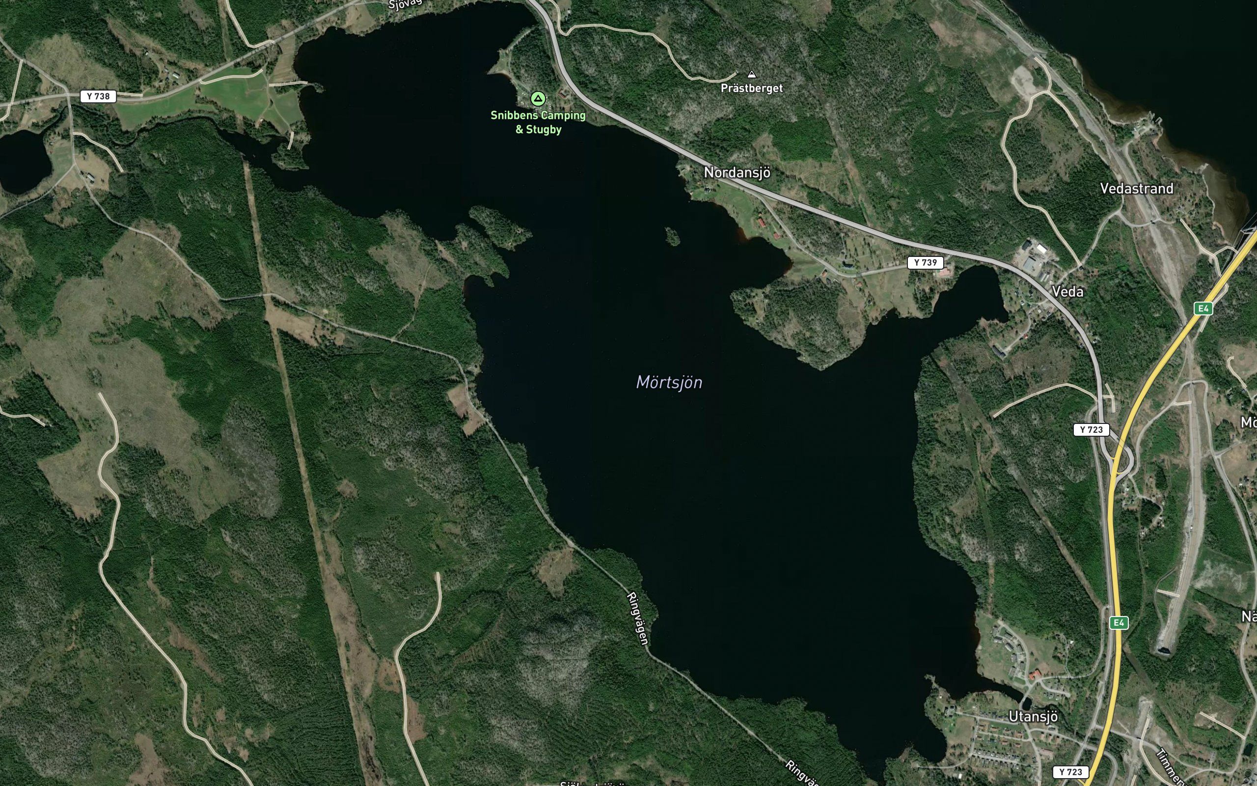 Mortsjon