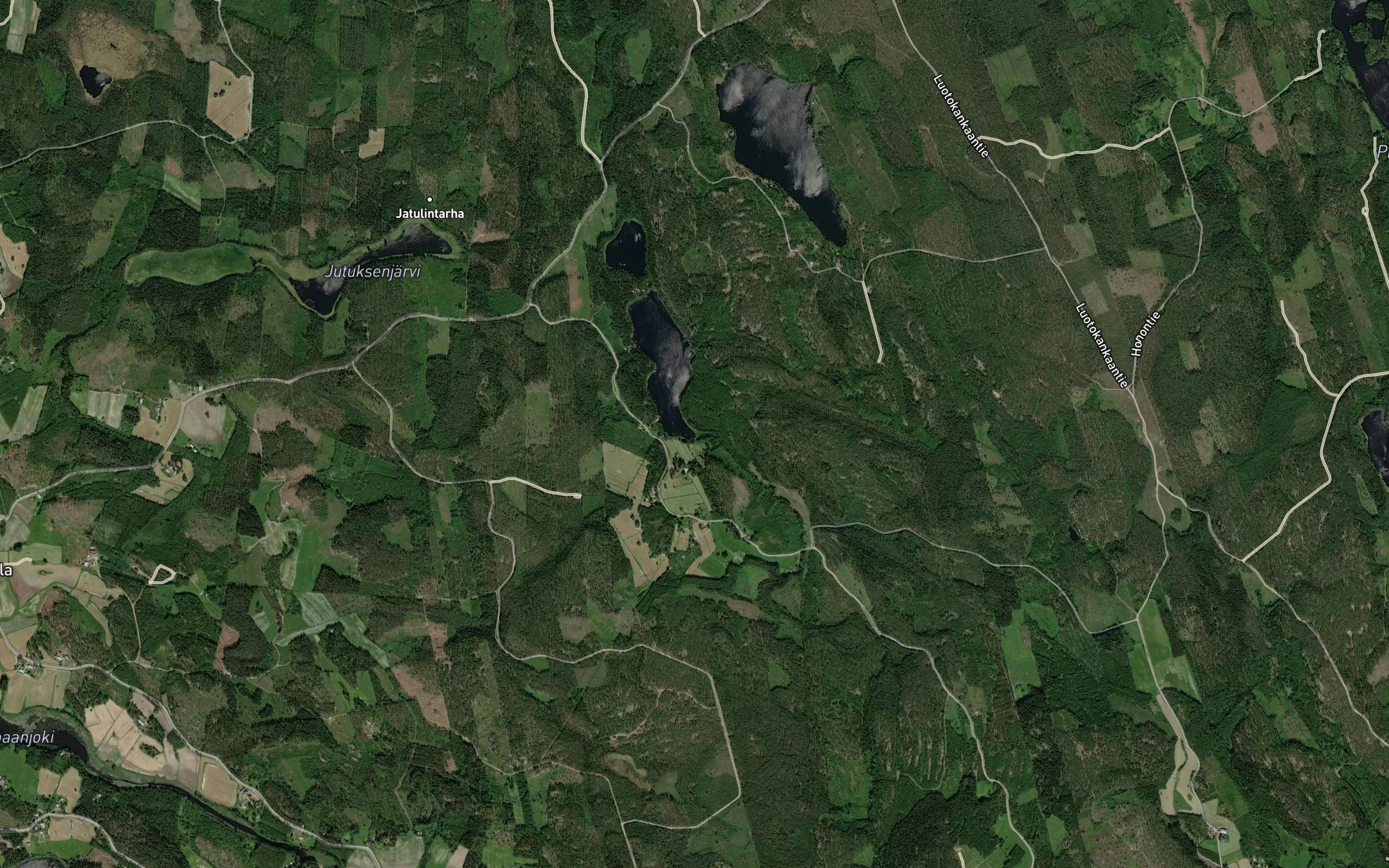 Onkilamminoja