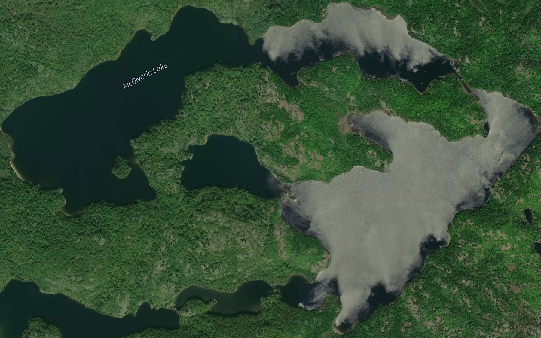 Satellite map of the McGiverin Lake