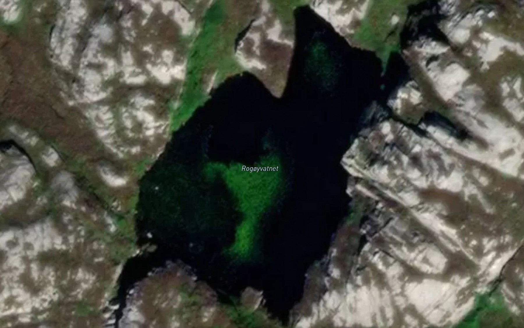 Satellite map of the Rogoyvatnet