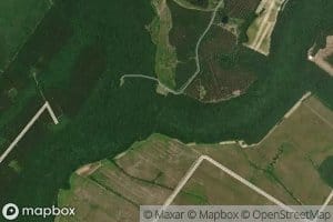 Millpond Branch