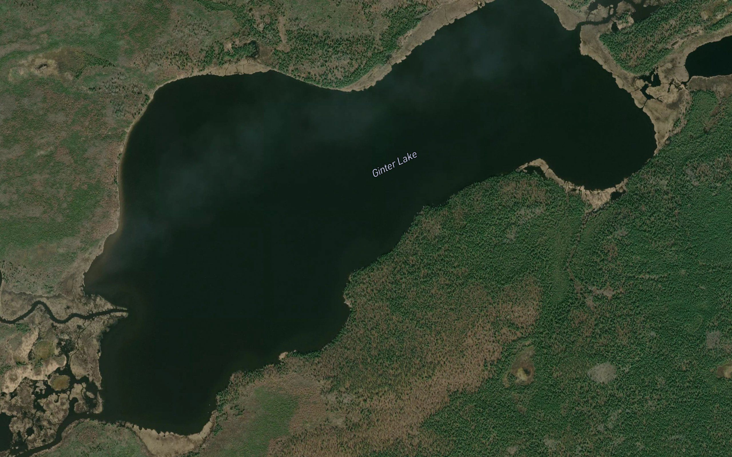 Ginter Lake