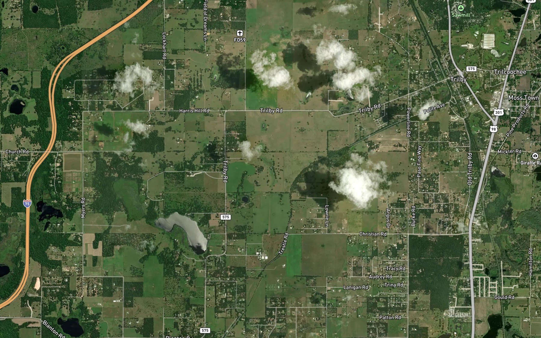 Satellite map of the Long Pond