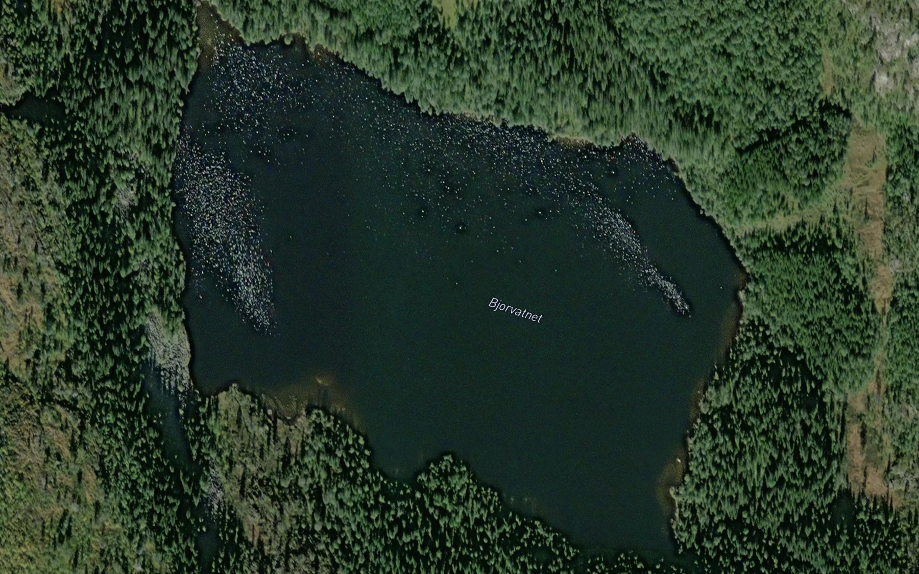 Satellite map of the Bjorvatnet