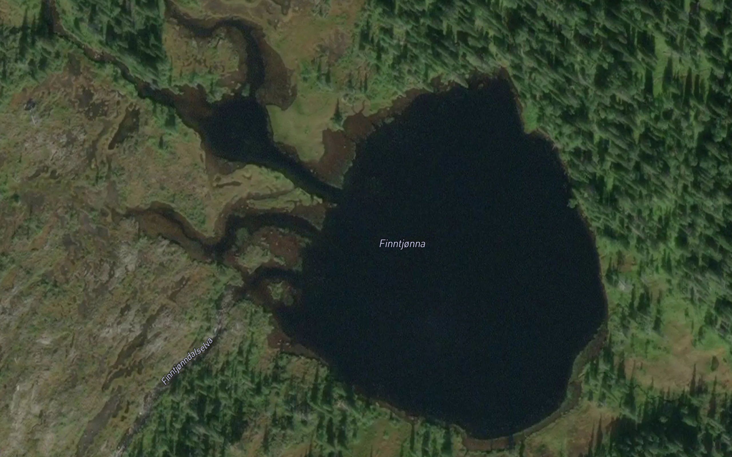 Finntjorna
