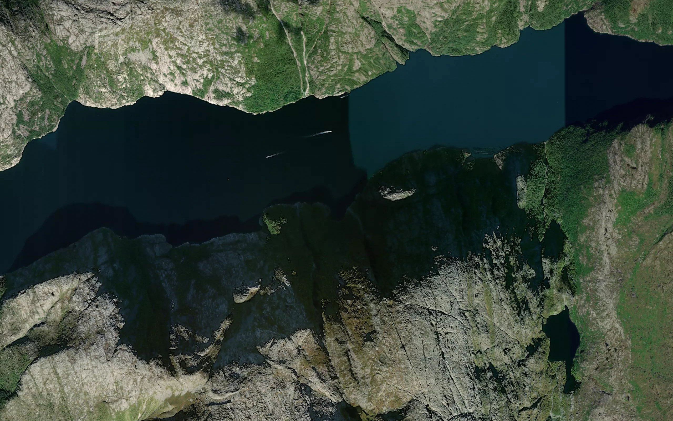 Medvika