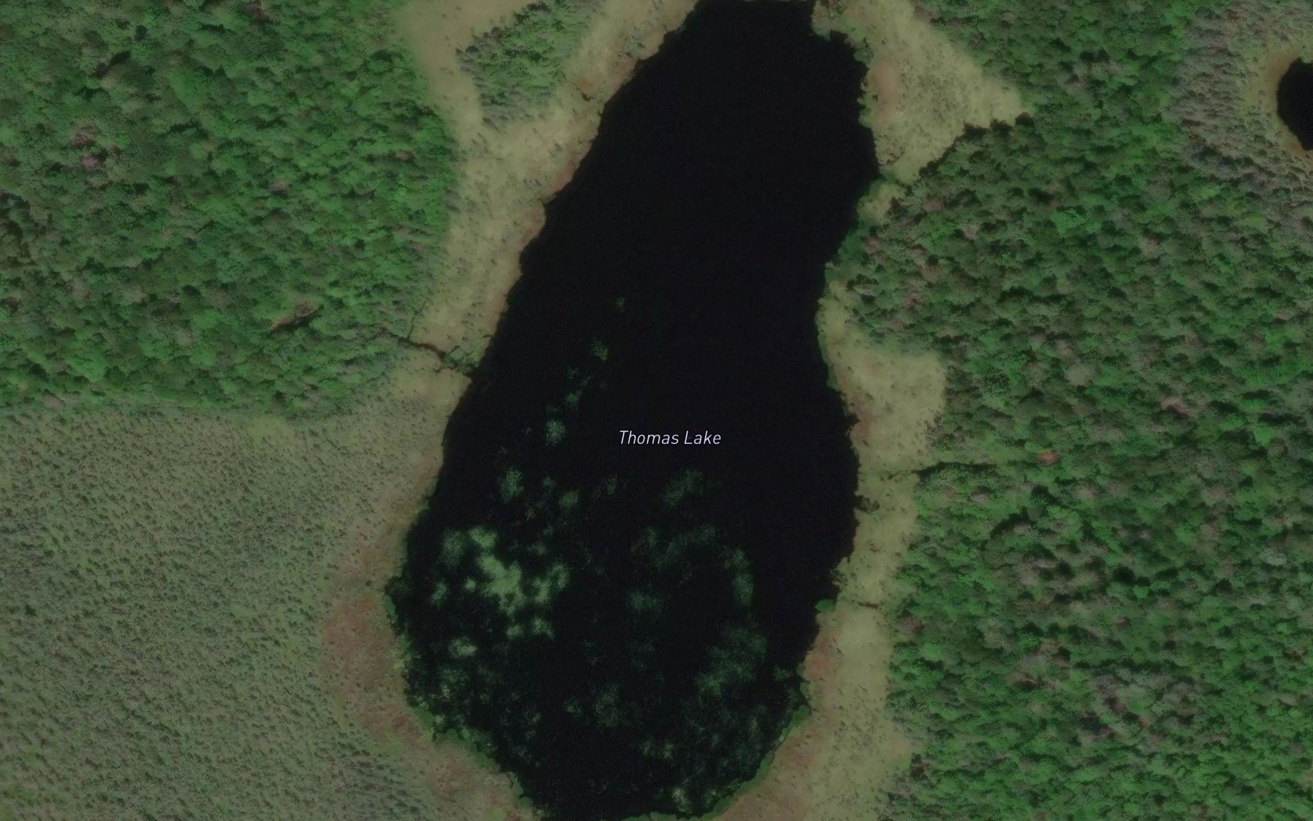 Thomas Lake