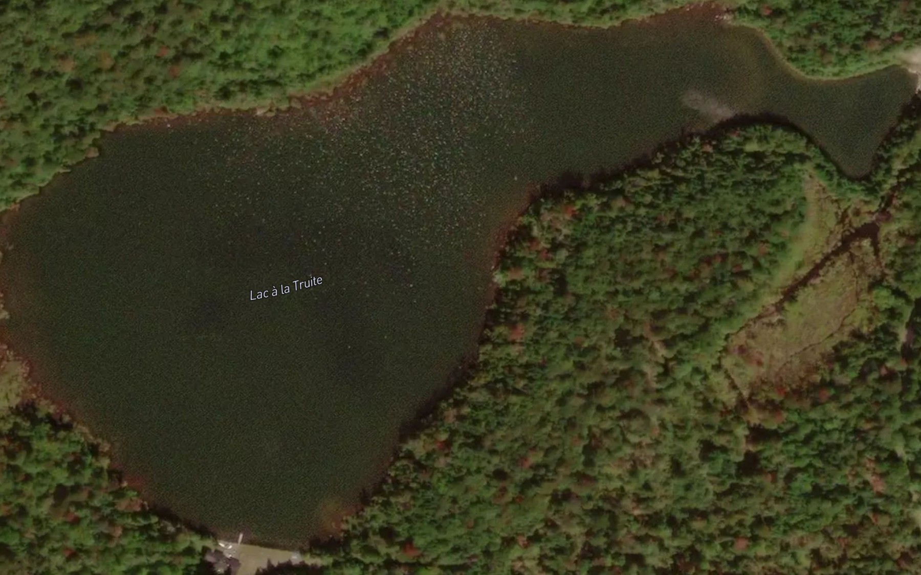 Satellite map of the Lac a la Truite