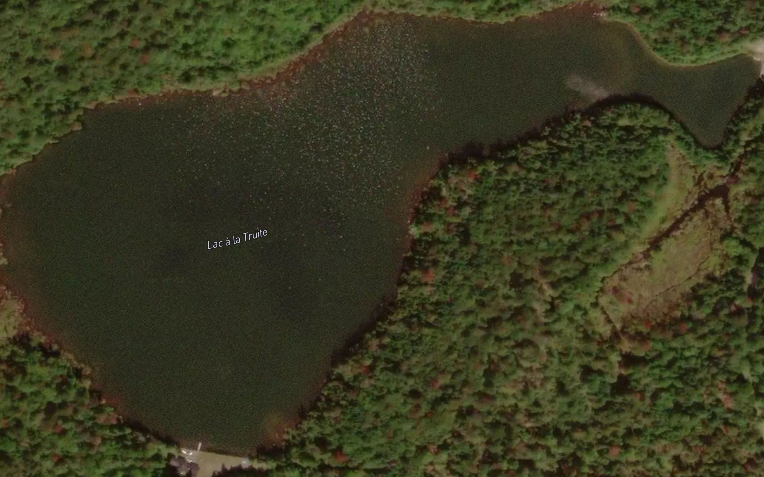 Lac a la Truite