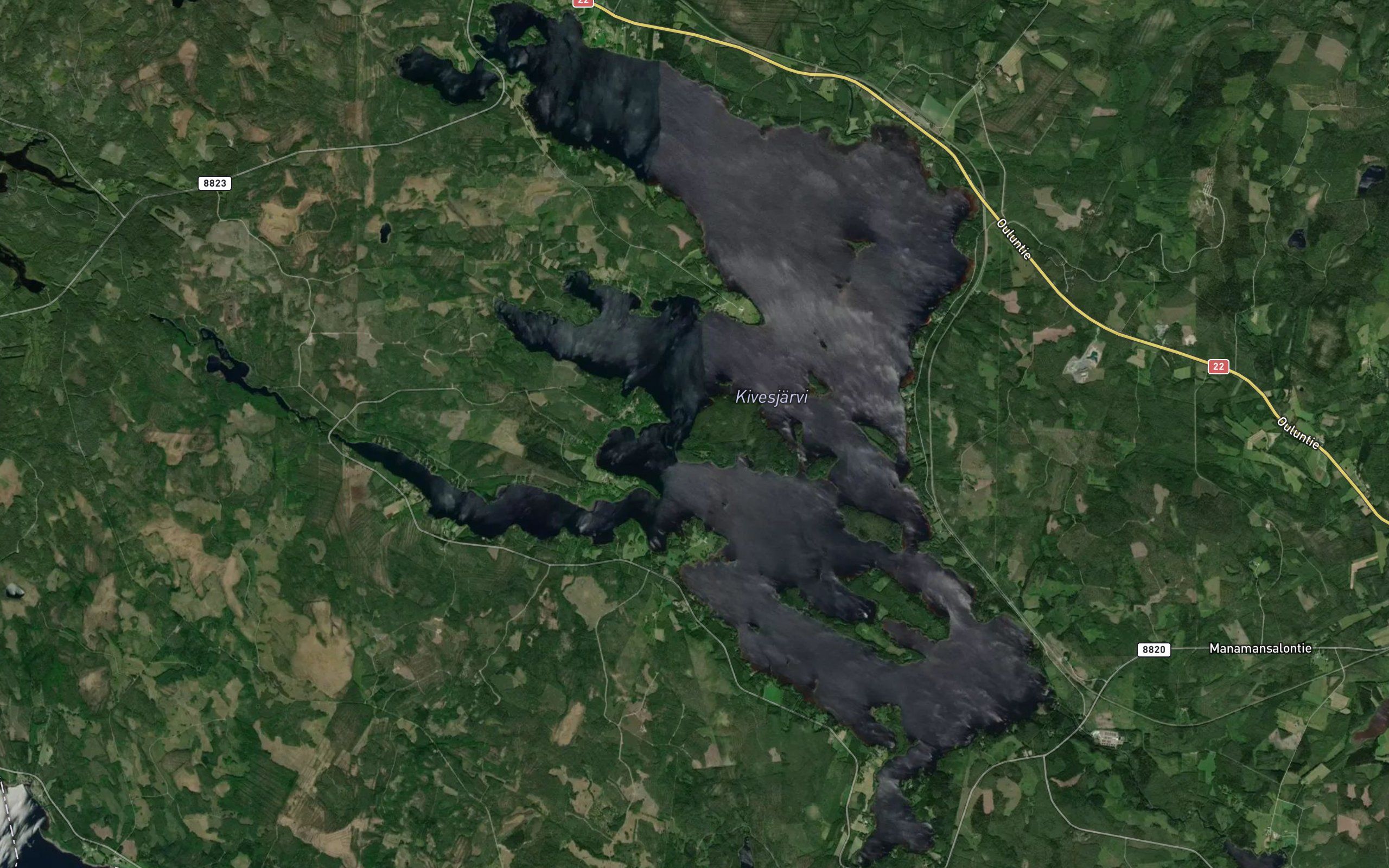 Kongasjoki