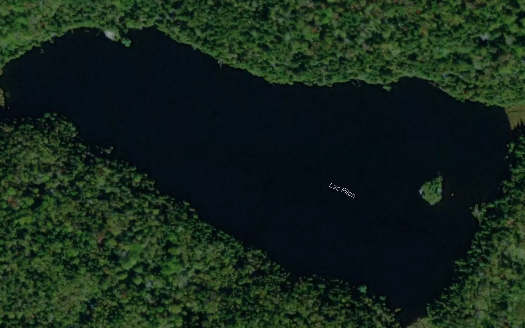 Satellite map of the Lac Pilon