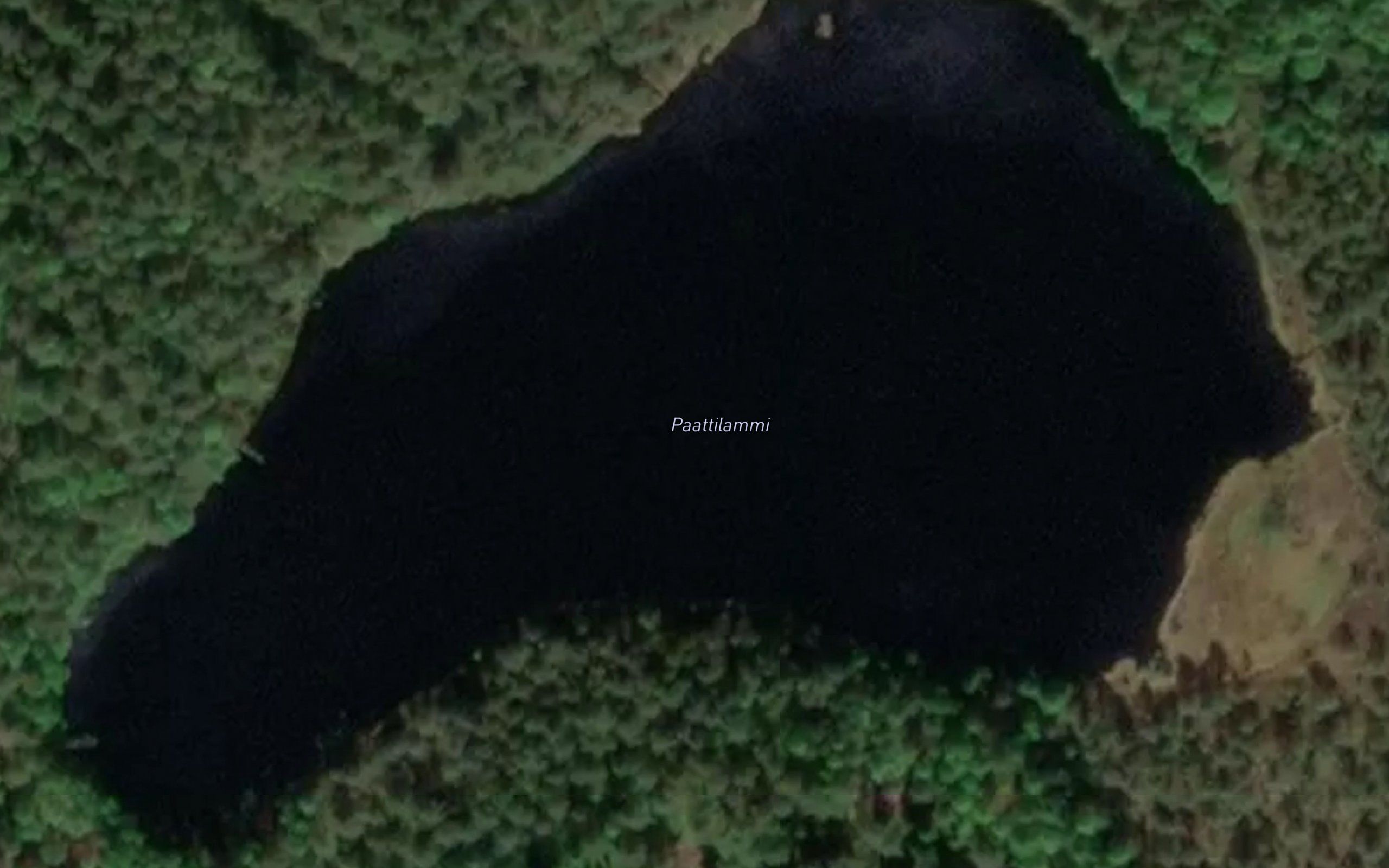 Paattilammi