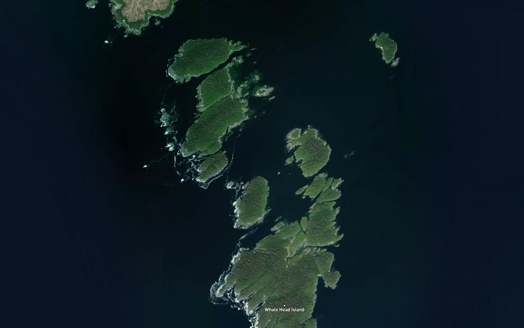 Satellite map of the Fake Pass