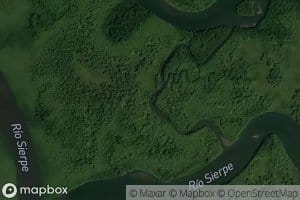 Estero Pata de Gallina