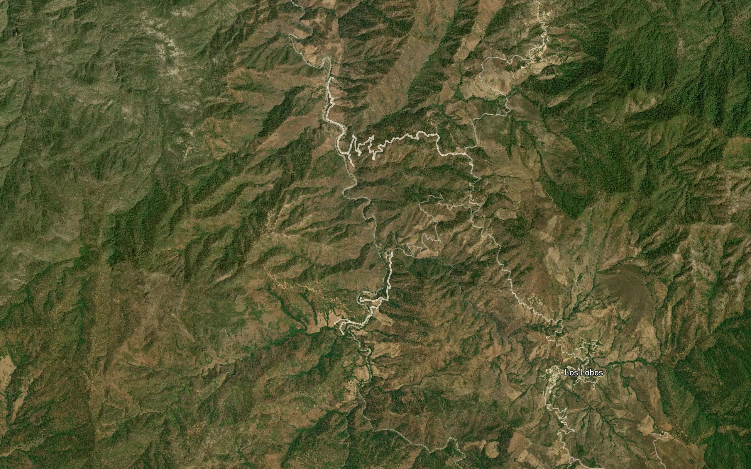 Arroyo los Lobos