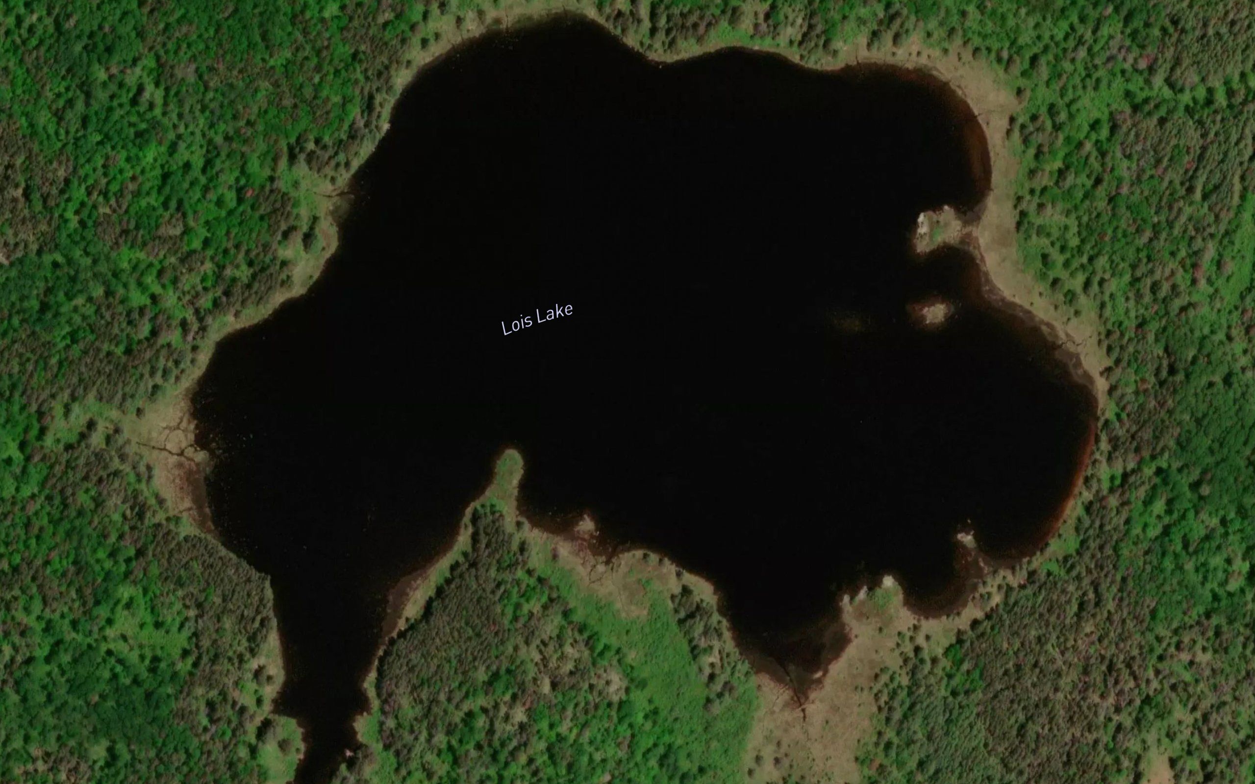 Lois Lake