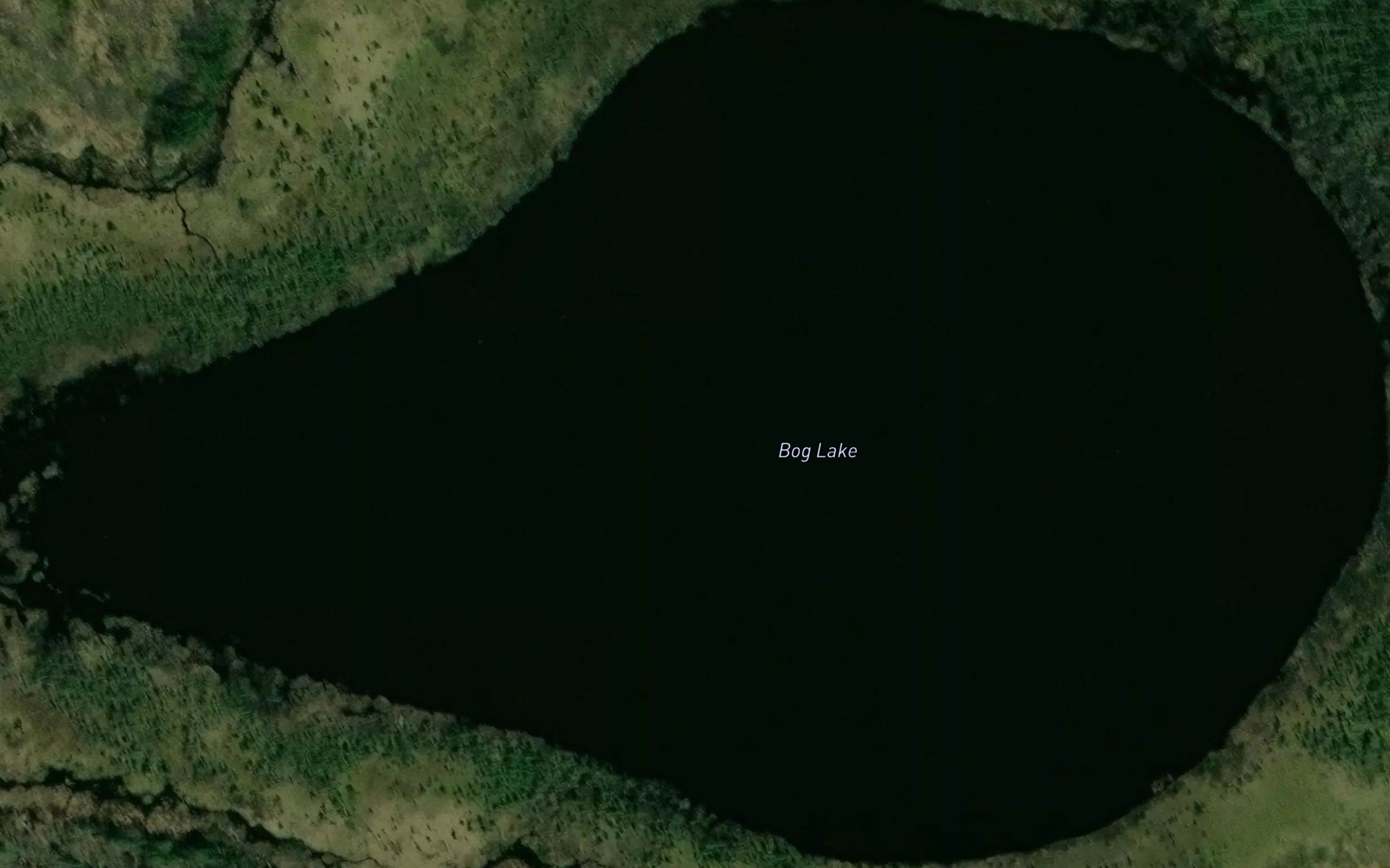 Bog Lake