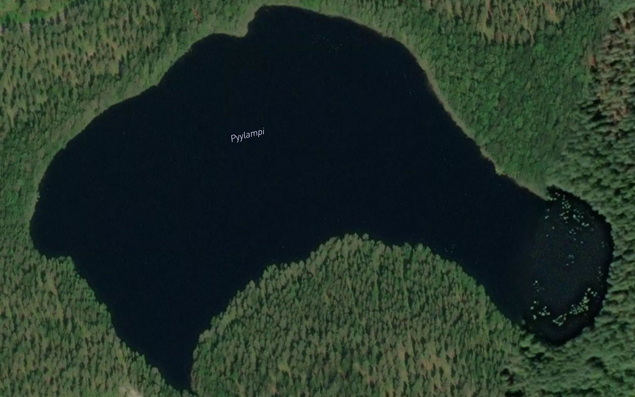 Pyylampi