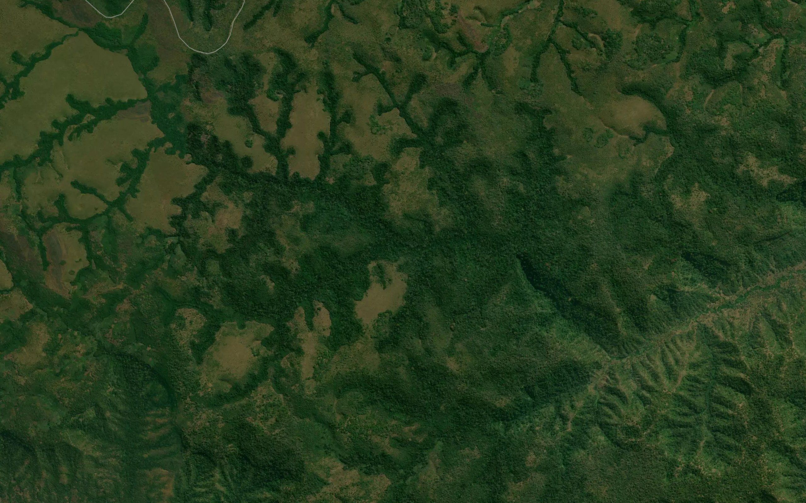 Carimba