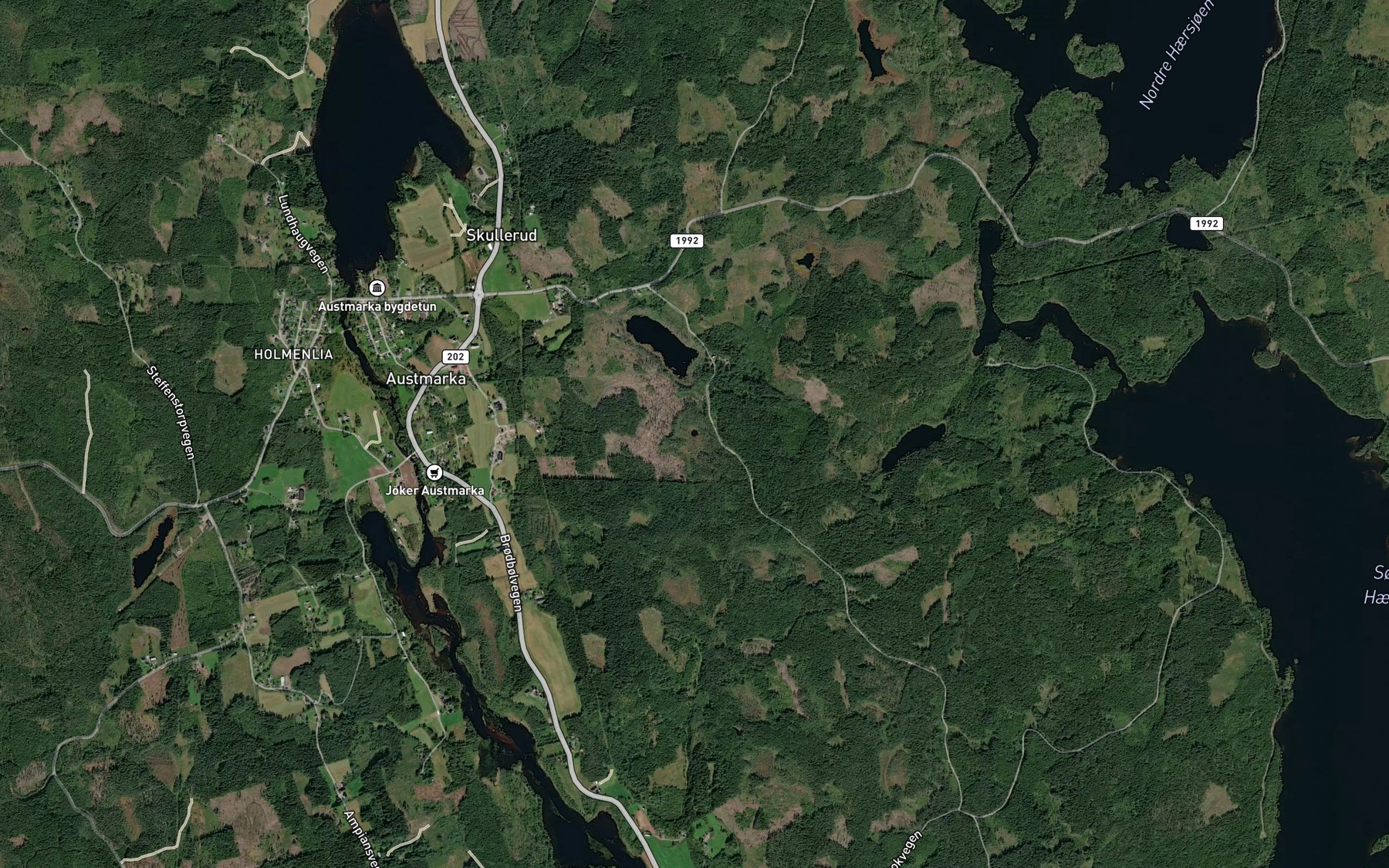 Satellite map of the Vesledamtjennet