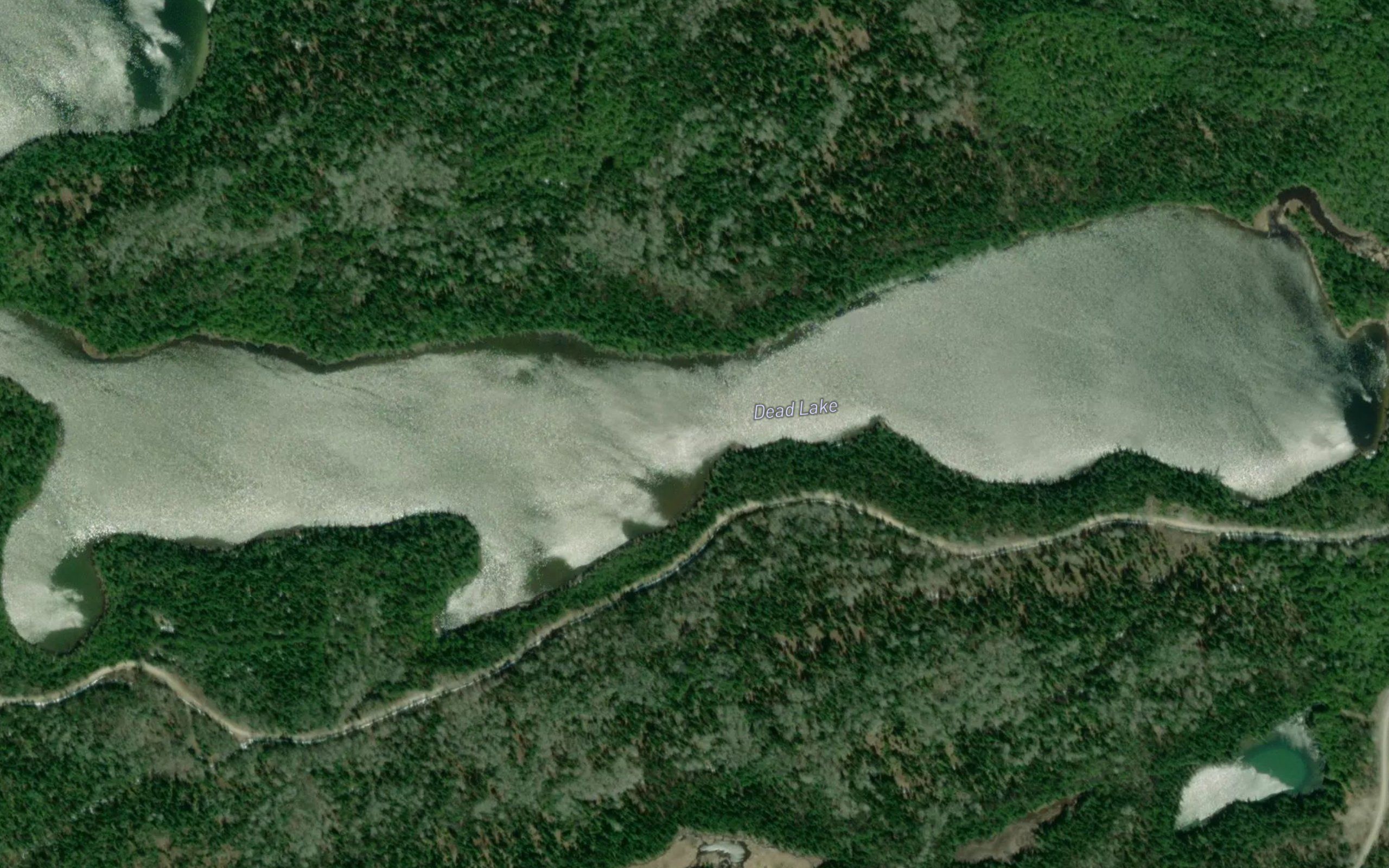 Dead Lake