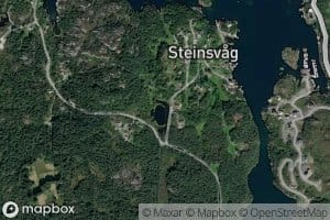 Steinvagtjorna