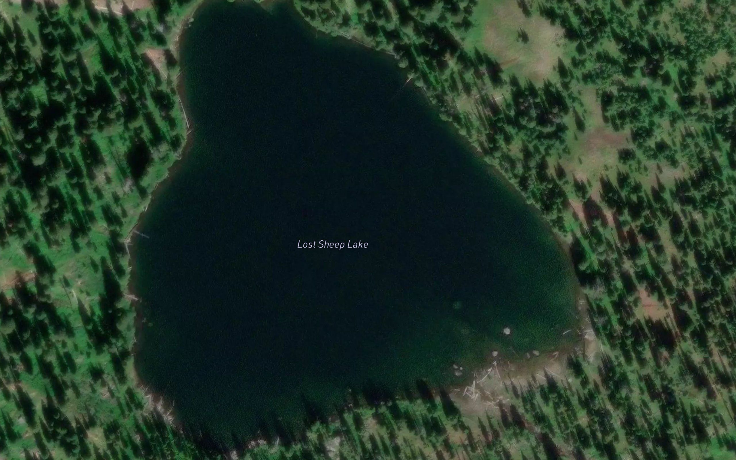 Lost Sheep Lake