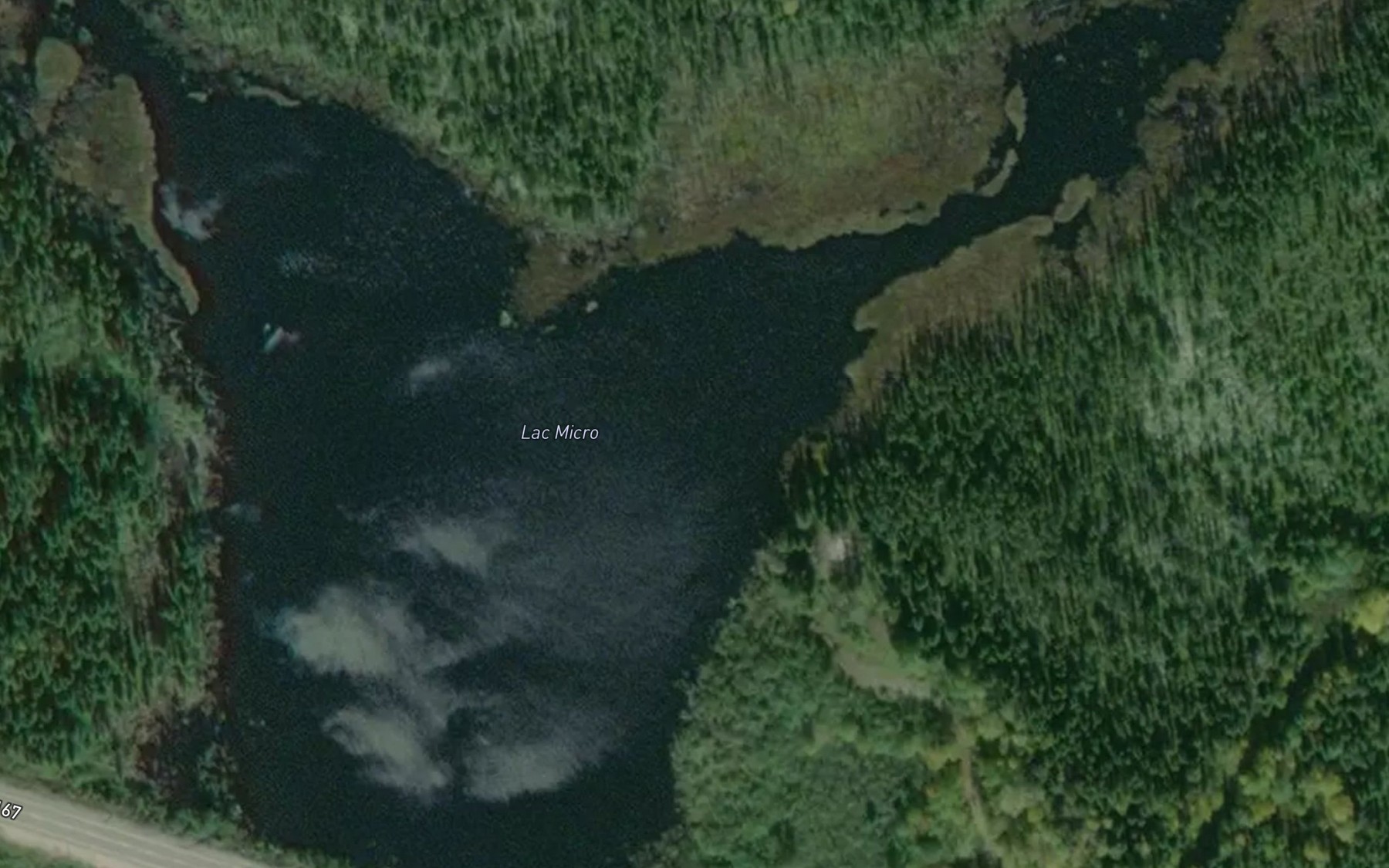 Satellite map of the Lac Micro