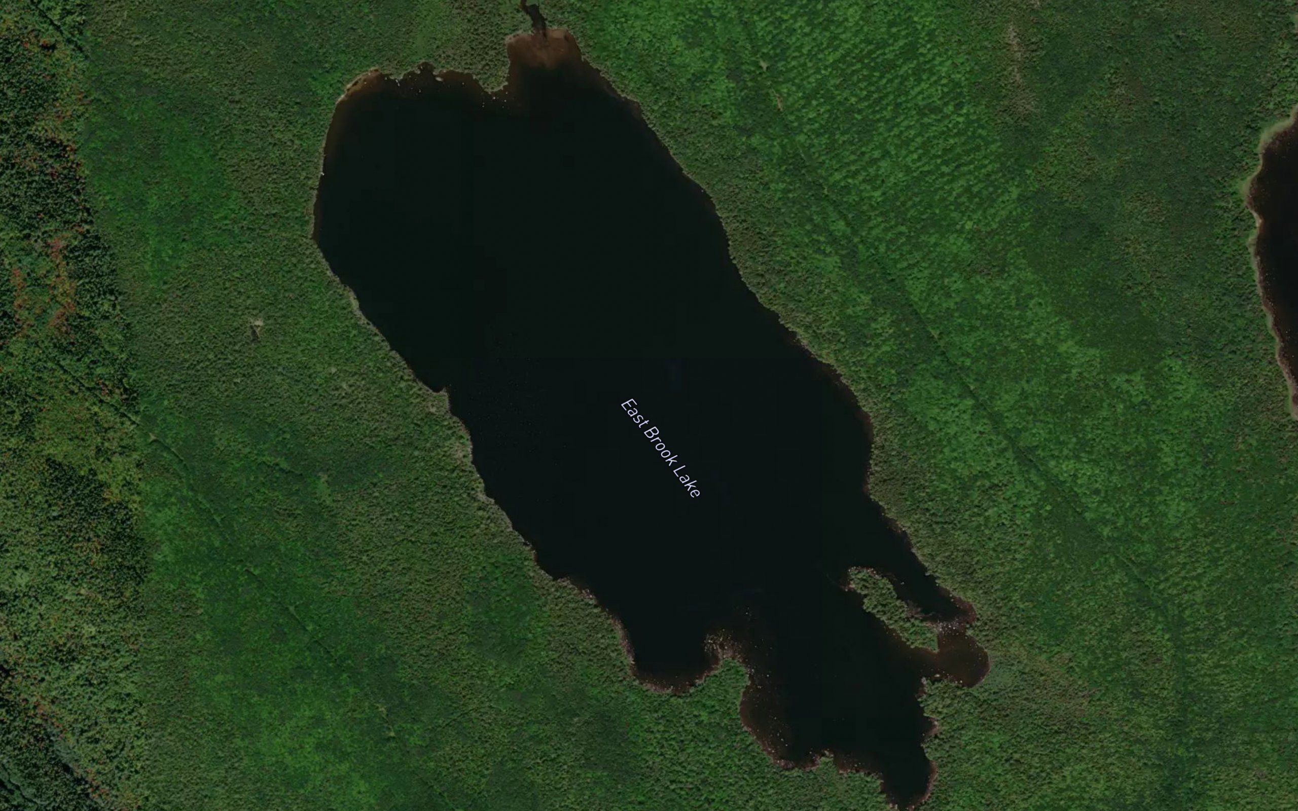 East Brook Lake