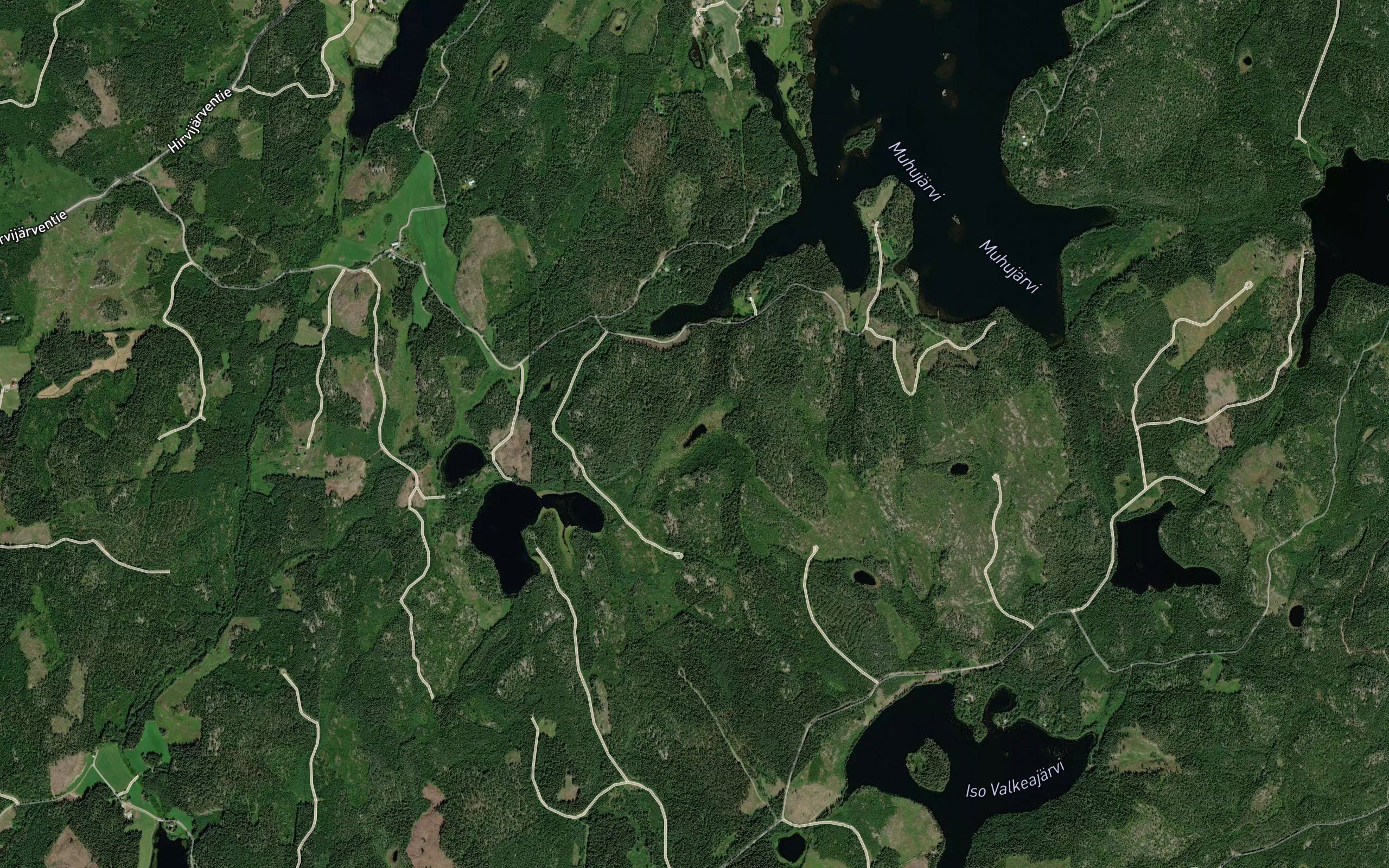 Mustijarvi