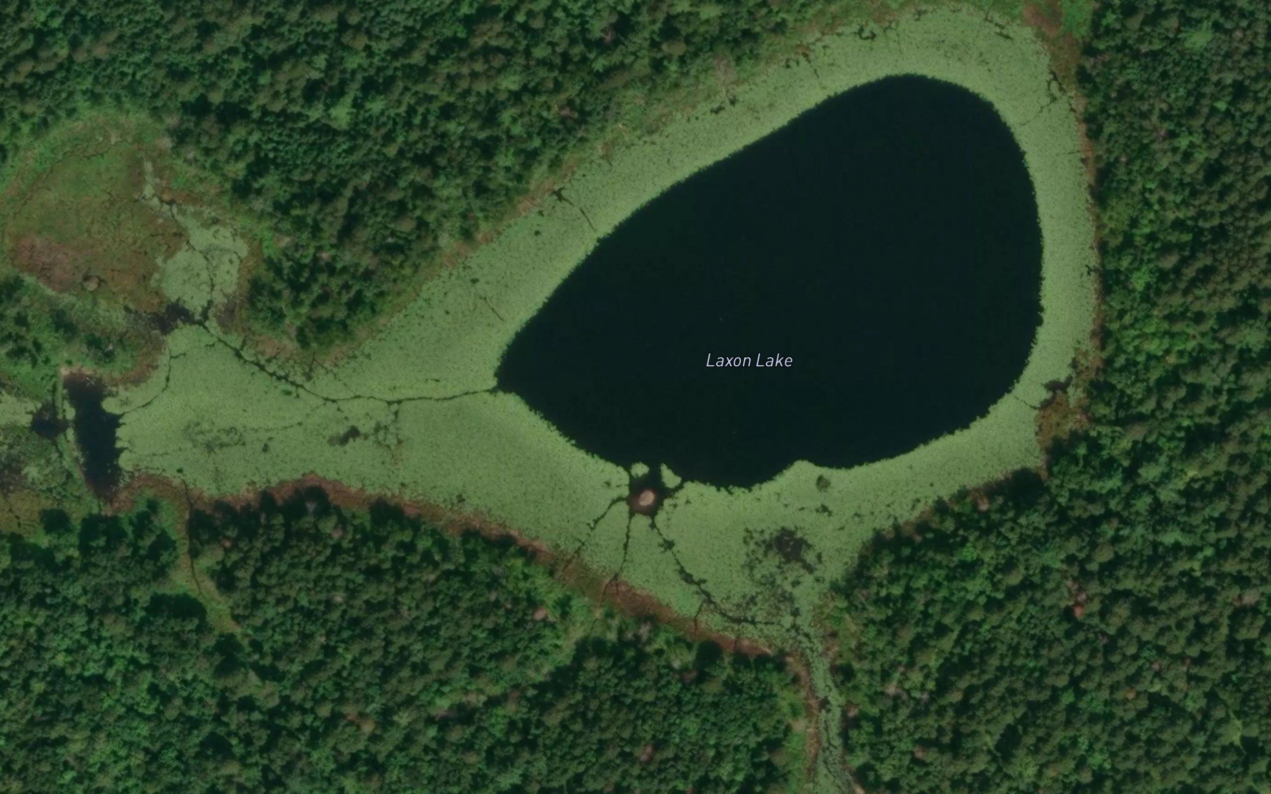 Laxon Lake