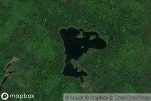 Lac Swamphead