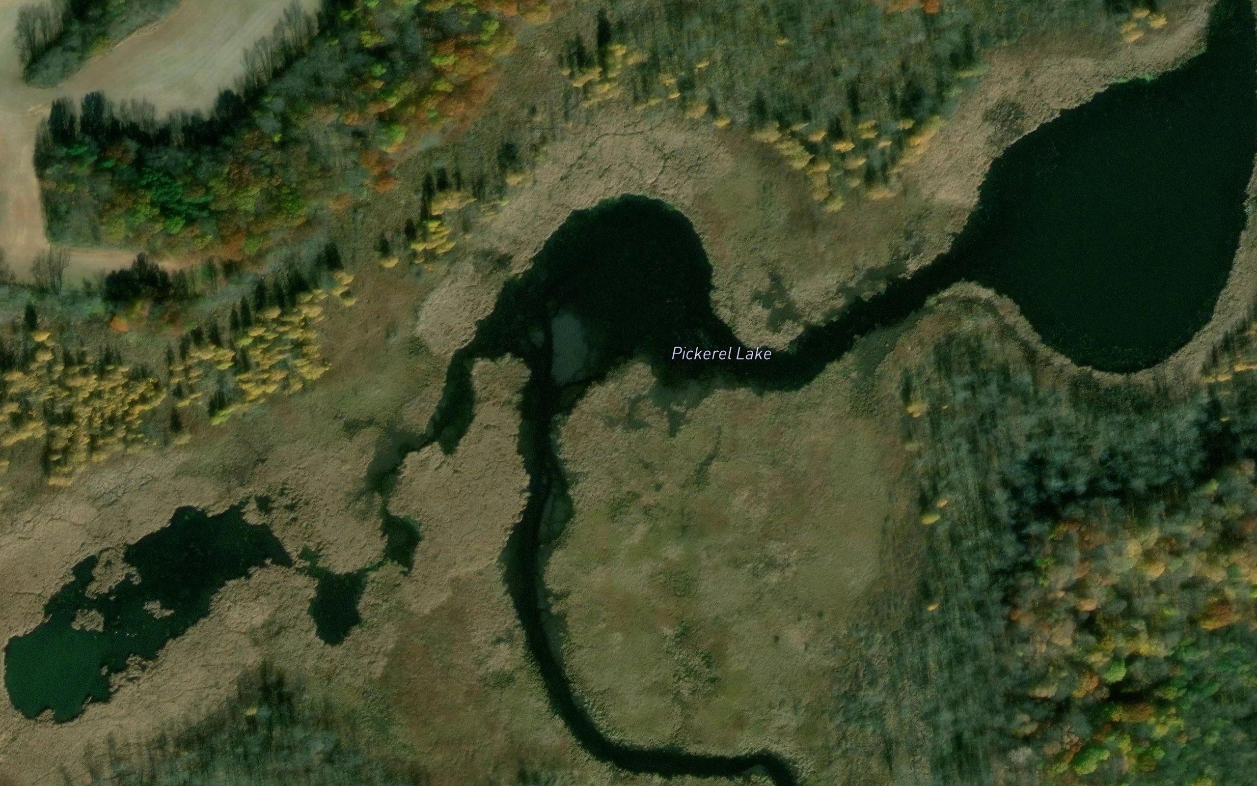 Pickerel Lake