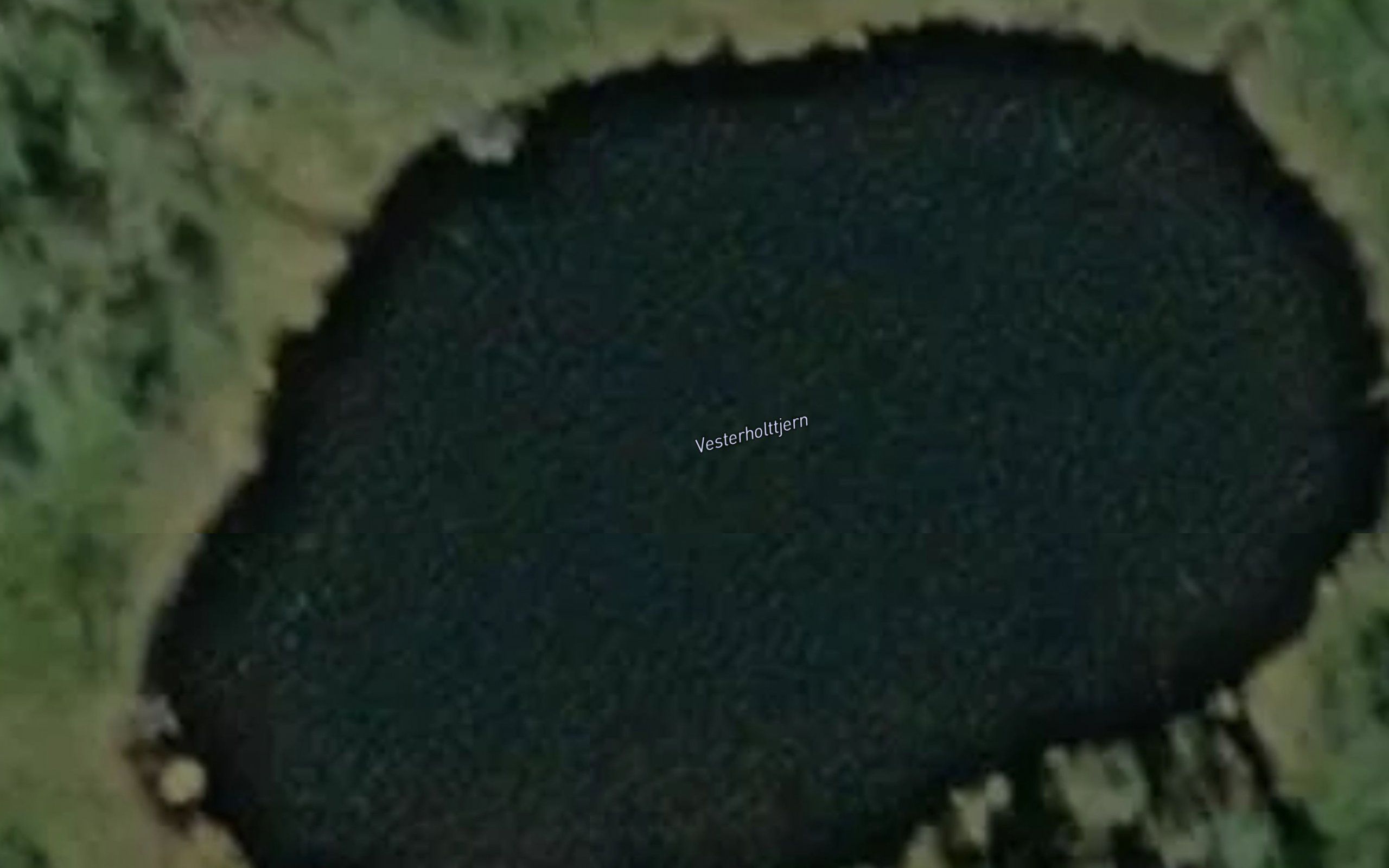 Vesterholttjern