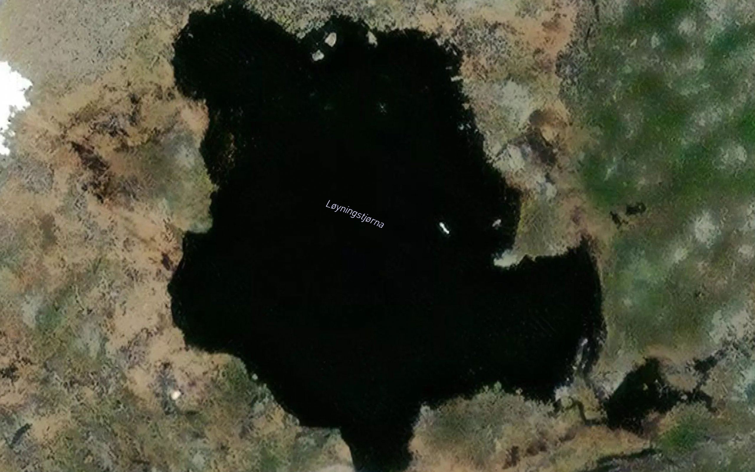 Loyningstjorna