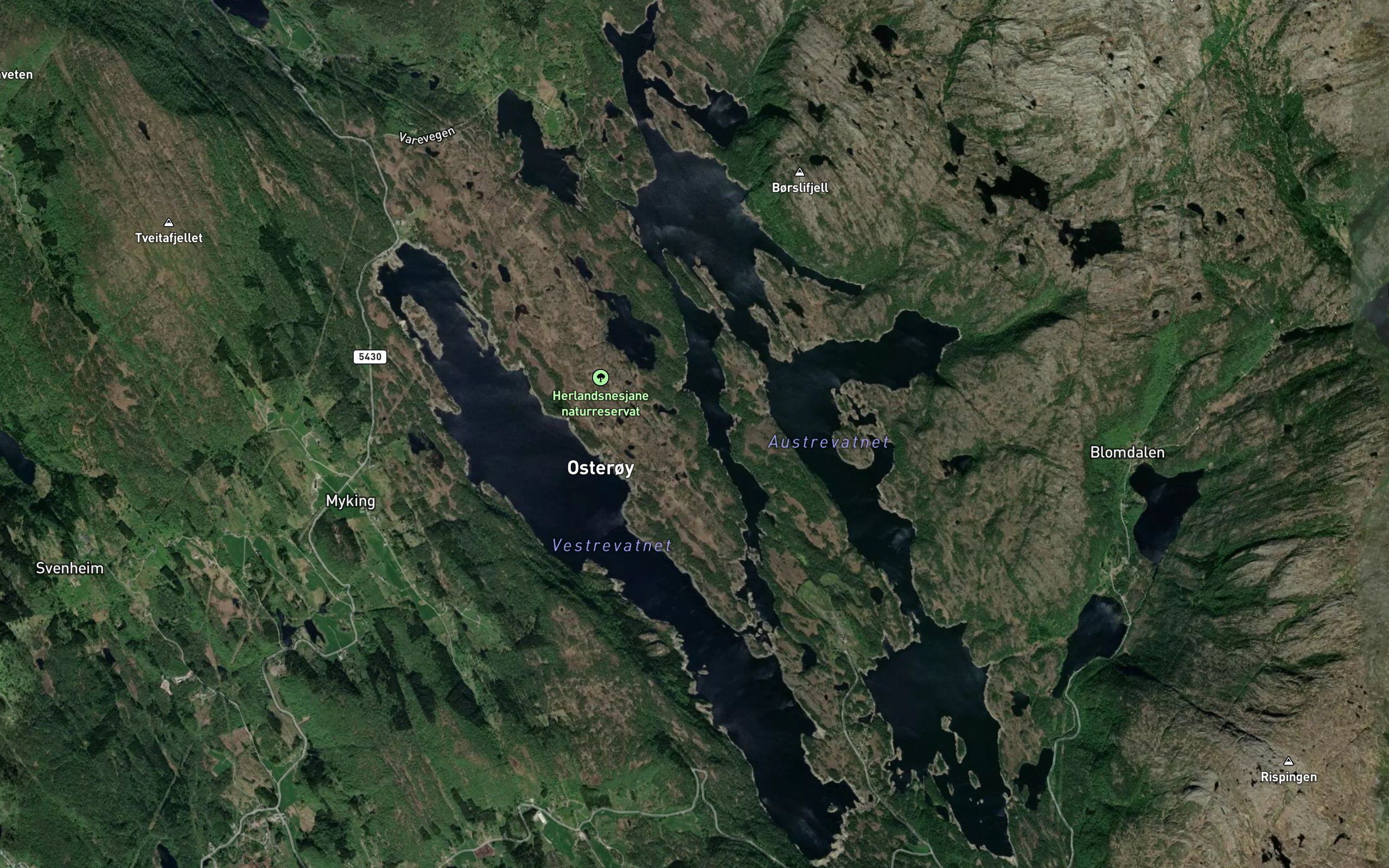 Merkjesvik