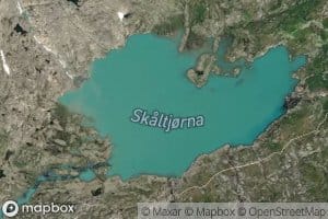 Skaltjorni