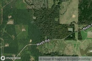 Bushneck Bayou