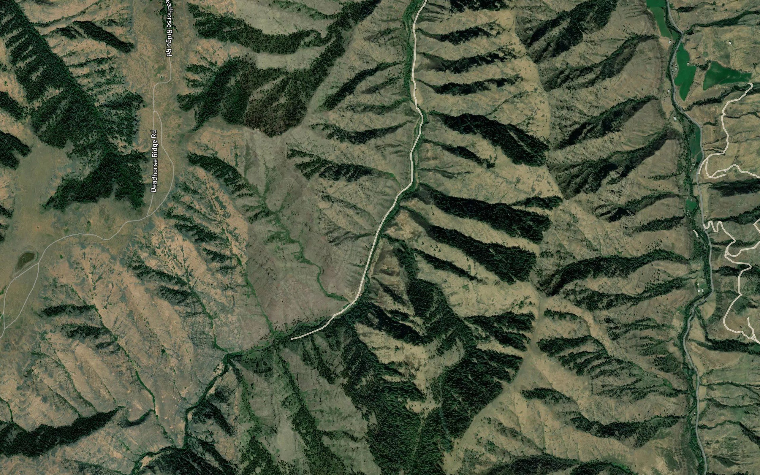 Warden Creek