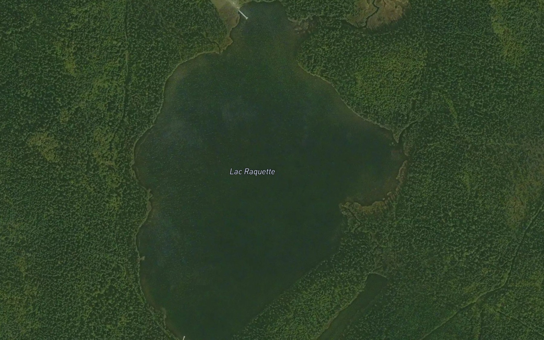 Satellite map of the Lac Raquette