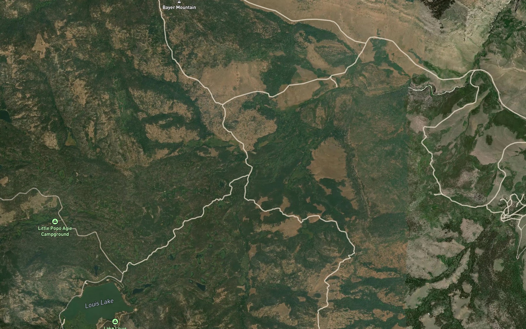 Satellite map of the Louis Creek