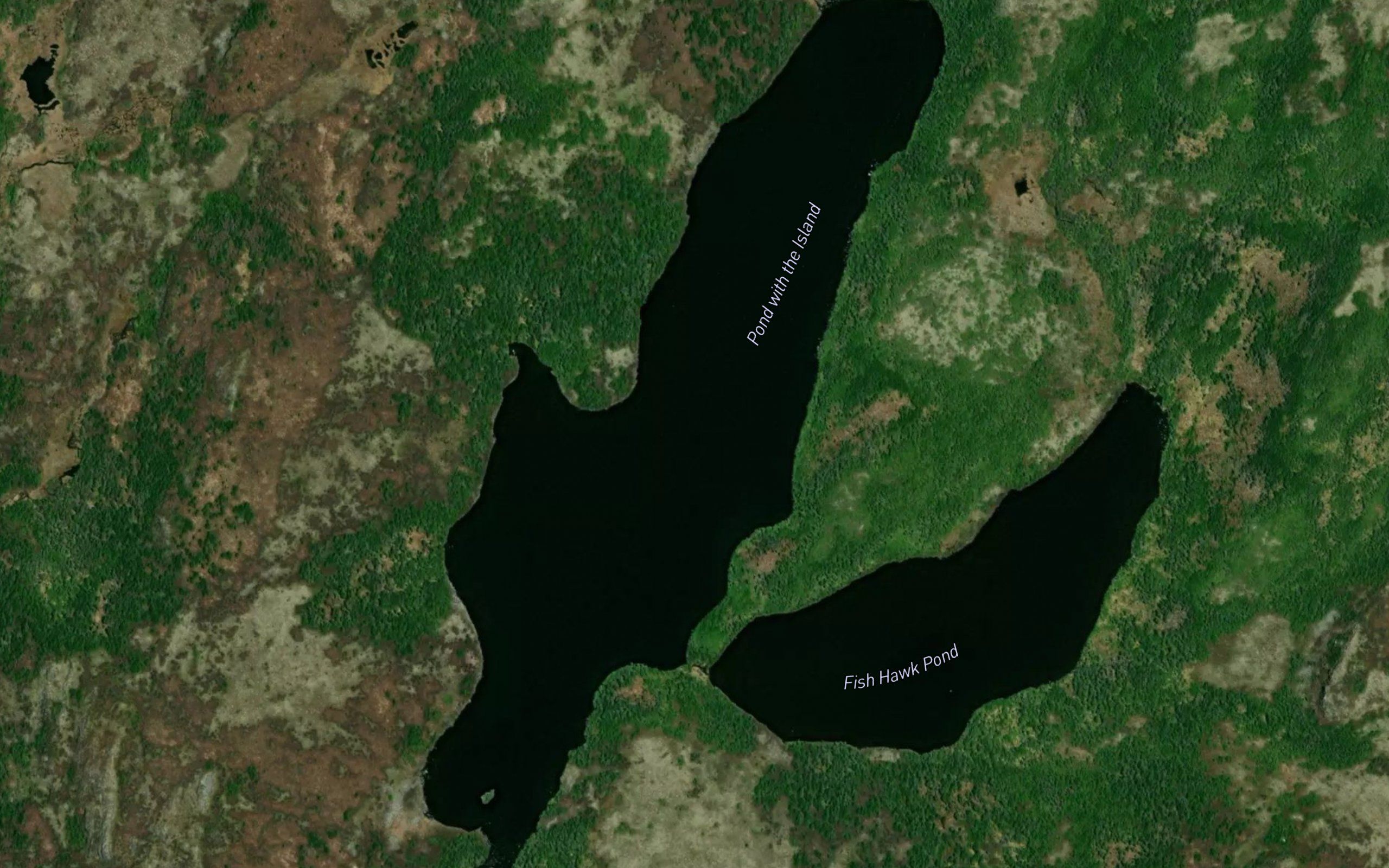 Pond with the Island
