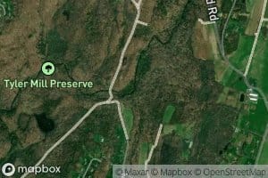 Tylers Mill Pond (historical)