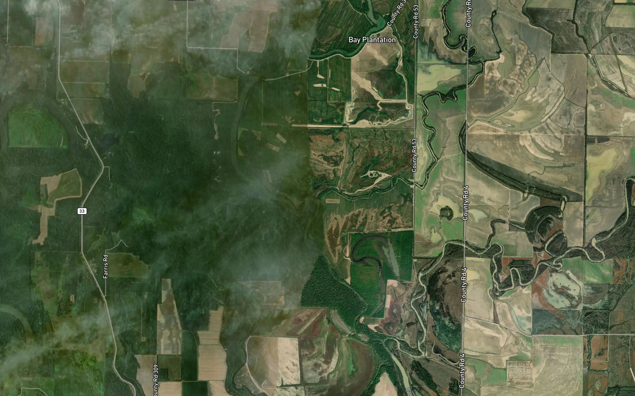 Beaver Bayou
