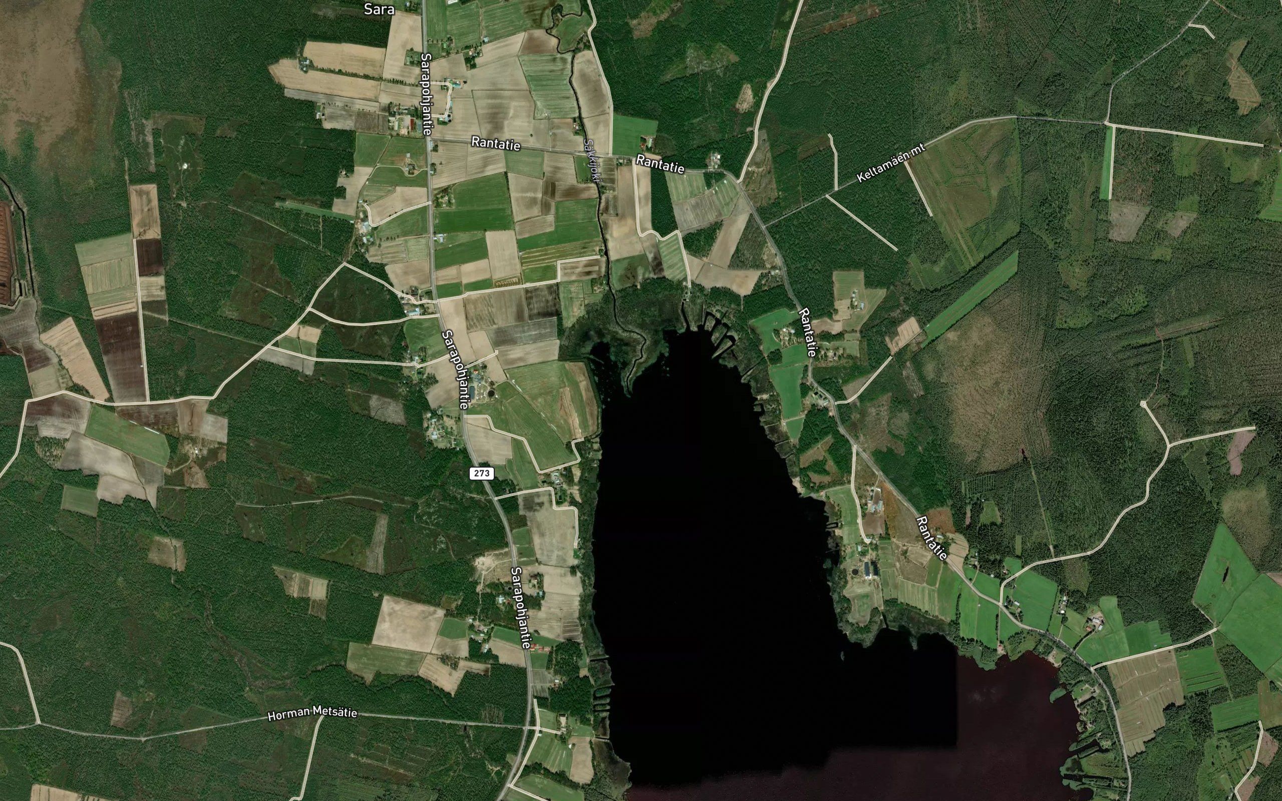 Sakkijoki