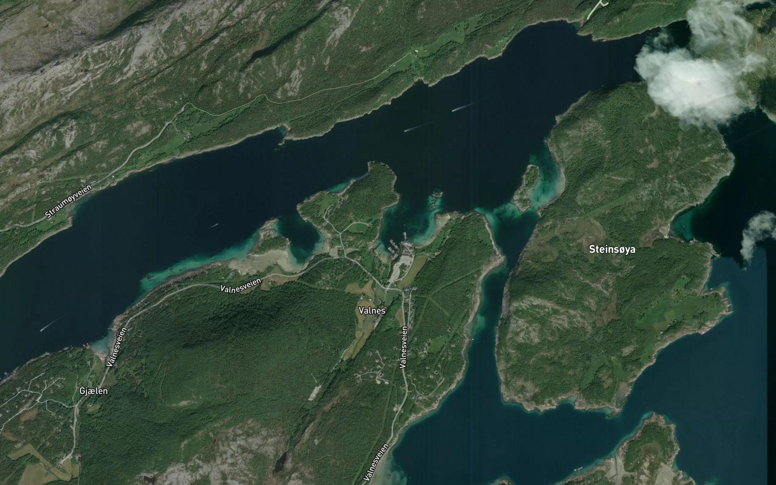 Valnesvika