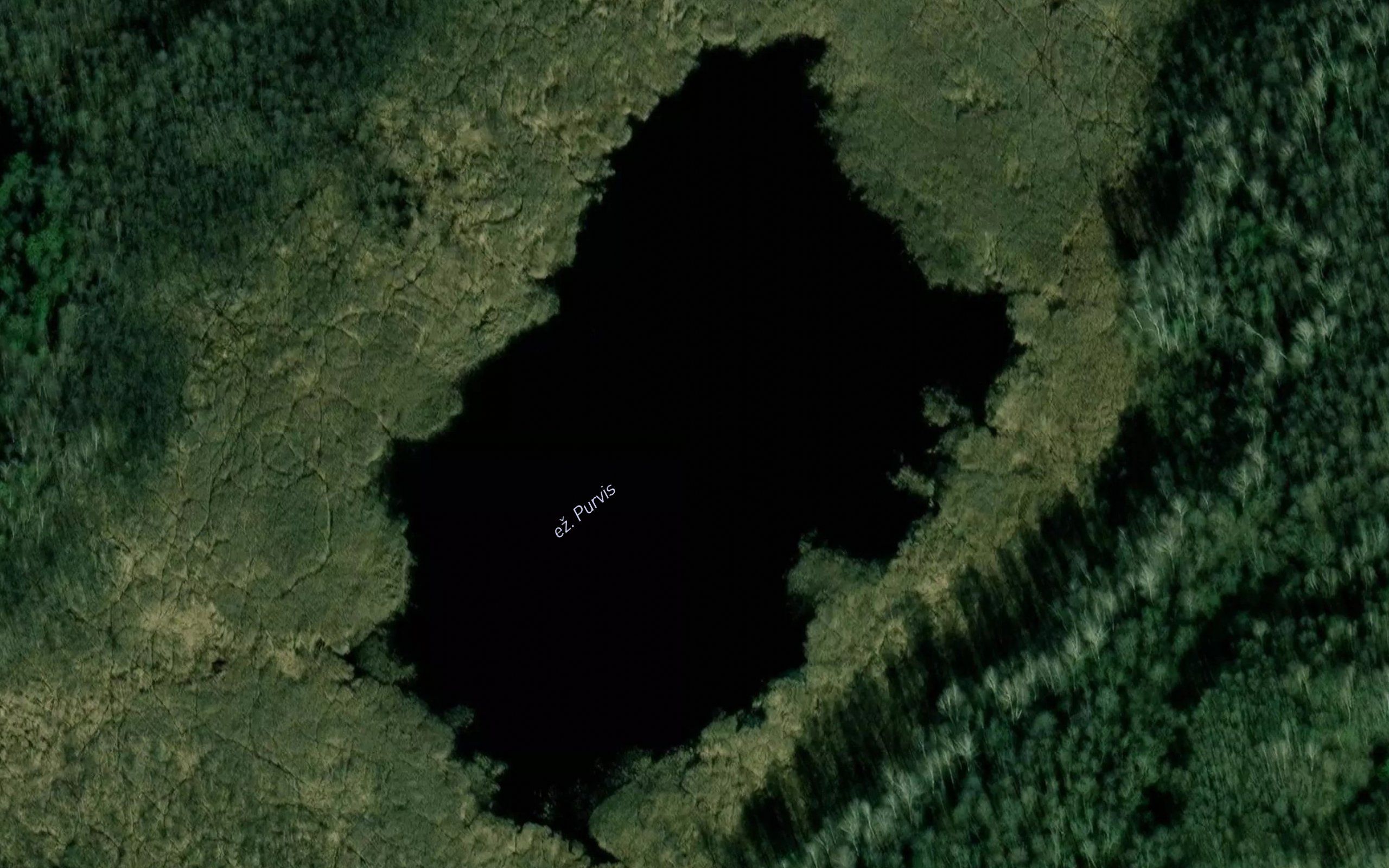 Ezeras Purvis