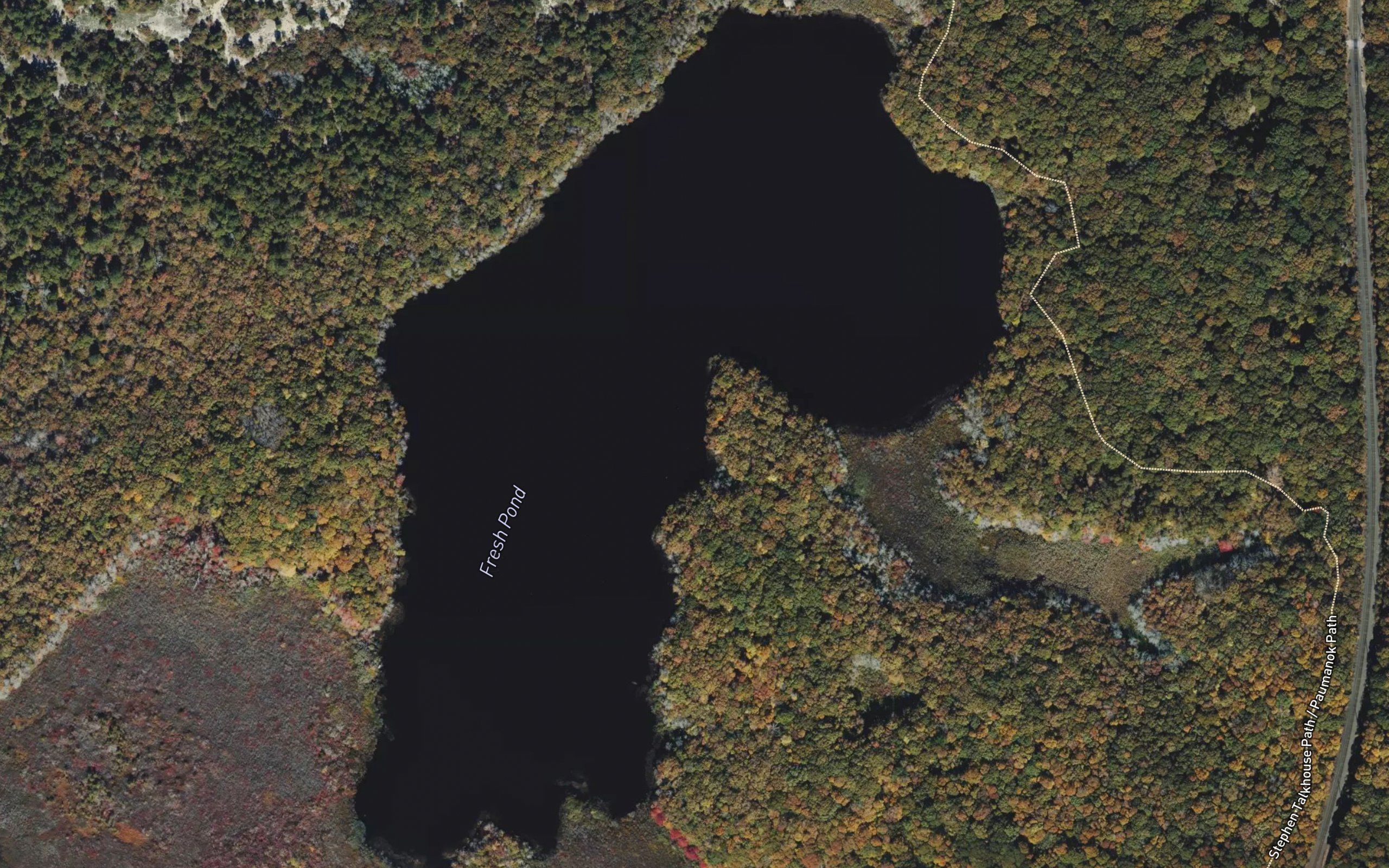 Fresh Pond