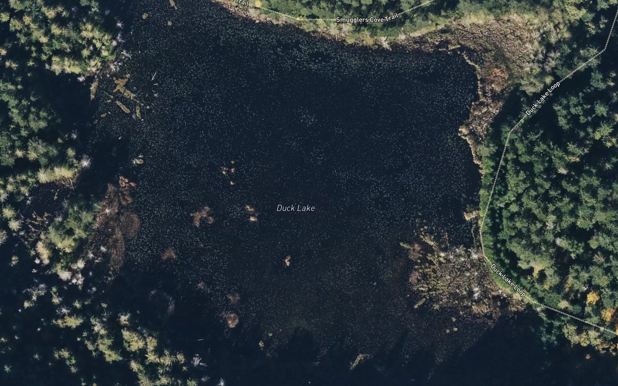 Duck Lake