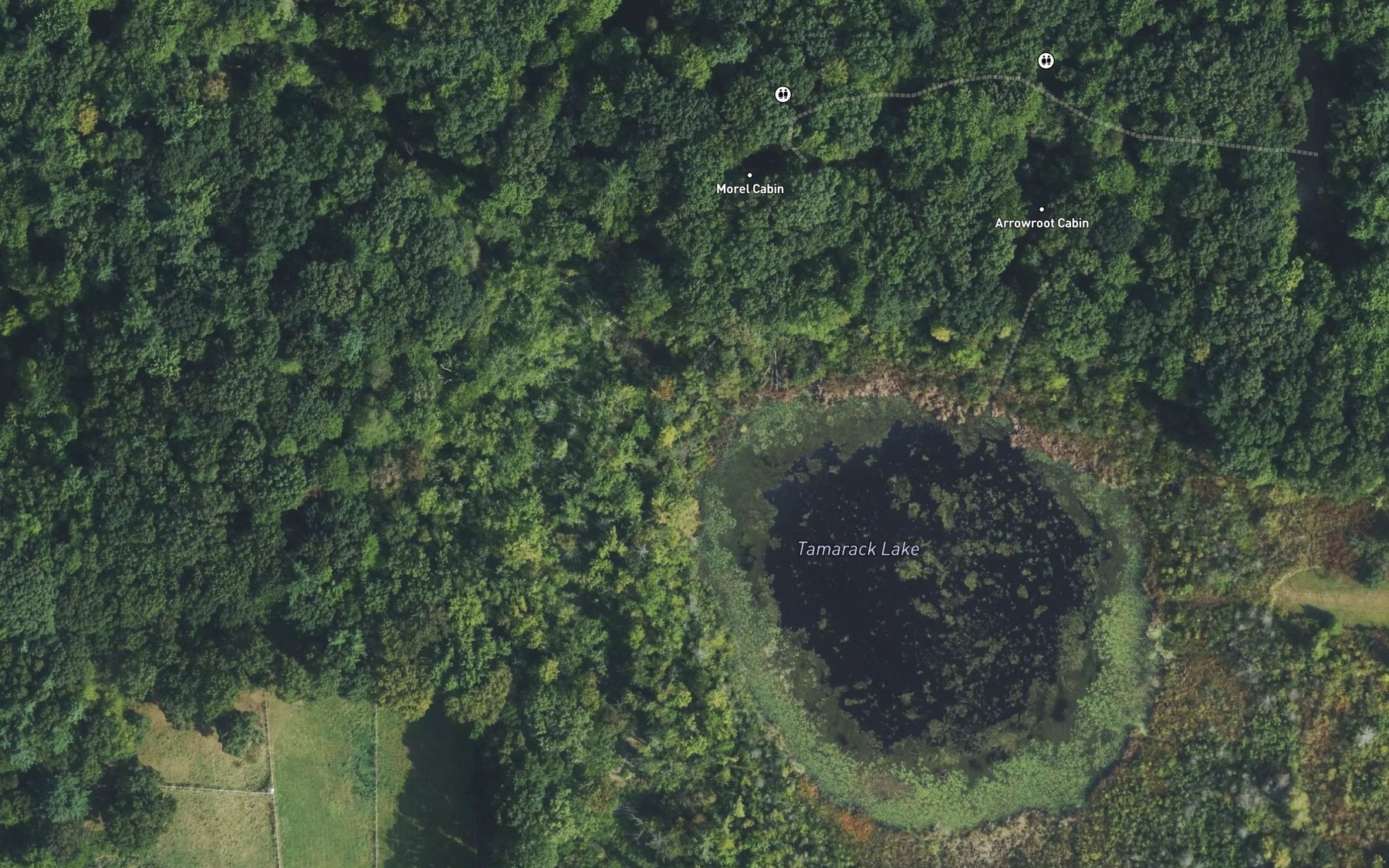 Satellite map of the Tamarack Lake